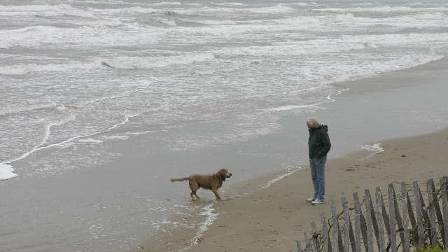 beach 1