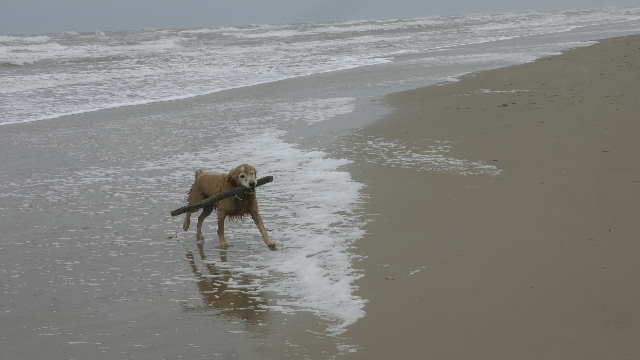 beach 5