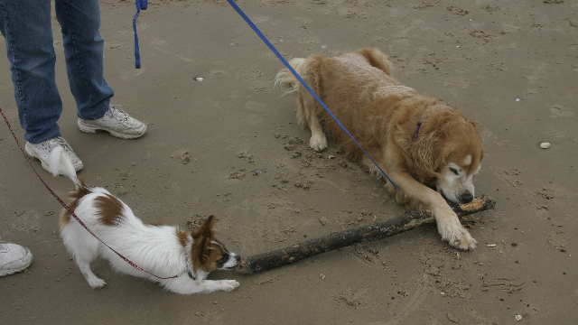 beach 7