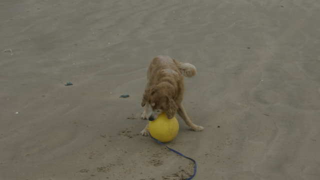 beach 11
