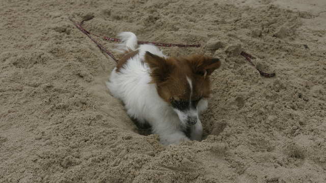 beach 4